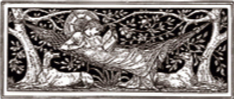 Category Image