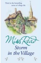 Image for Storm in the Village